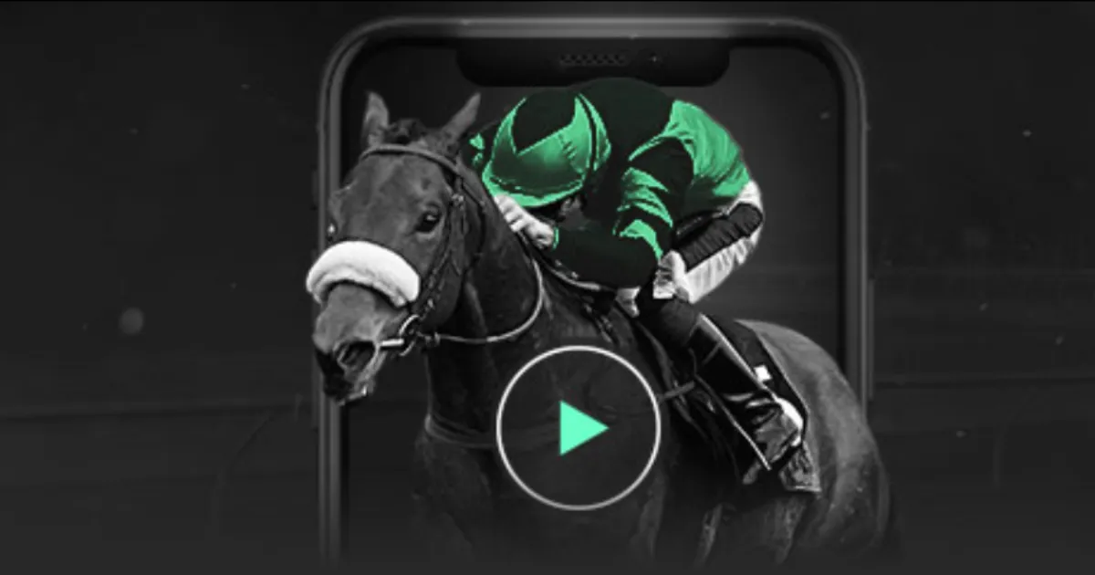 約基奇,穆雷与威少,携手共进,开云彩票官方网站,开云彩票团队,开云彩票,开云彩票体育集团,开云彩票赛事平台,开云彩票直播公司