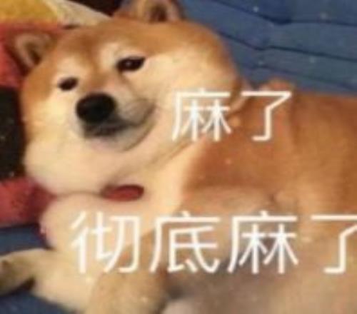 秒英超闪电,埃基蒂克破,纪录快射,开云彩票官方网站,开云彩票团队,开云彩票,开云彩票体育集团,开云彩票赛事平台,开云彩票直播公司