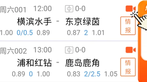 “明年展望逆境重生，世预赛前景充满希望与挑战”