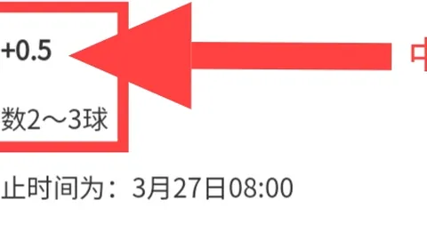 大乐透期号专家推荐：近8期预测，谁将失分